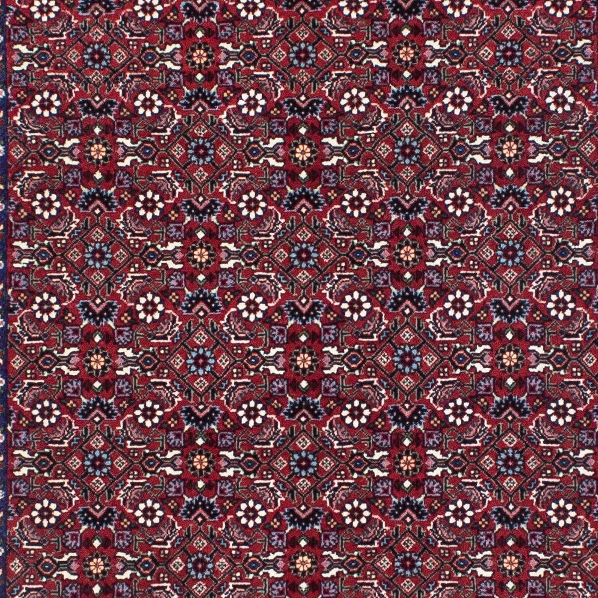 Runner Perser Rug - Bidjar - 295 x 86 cm - rust
