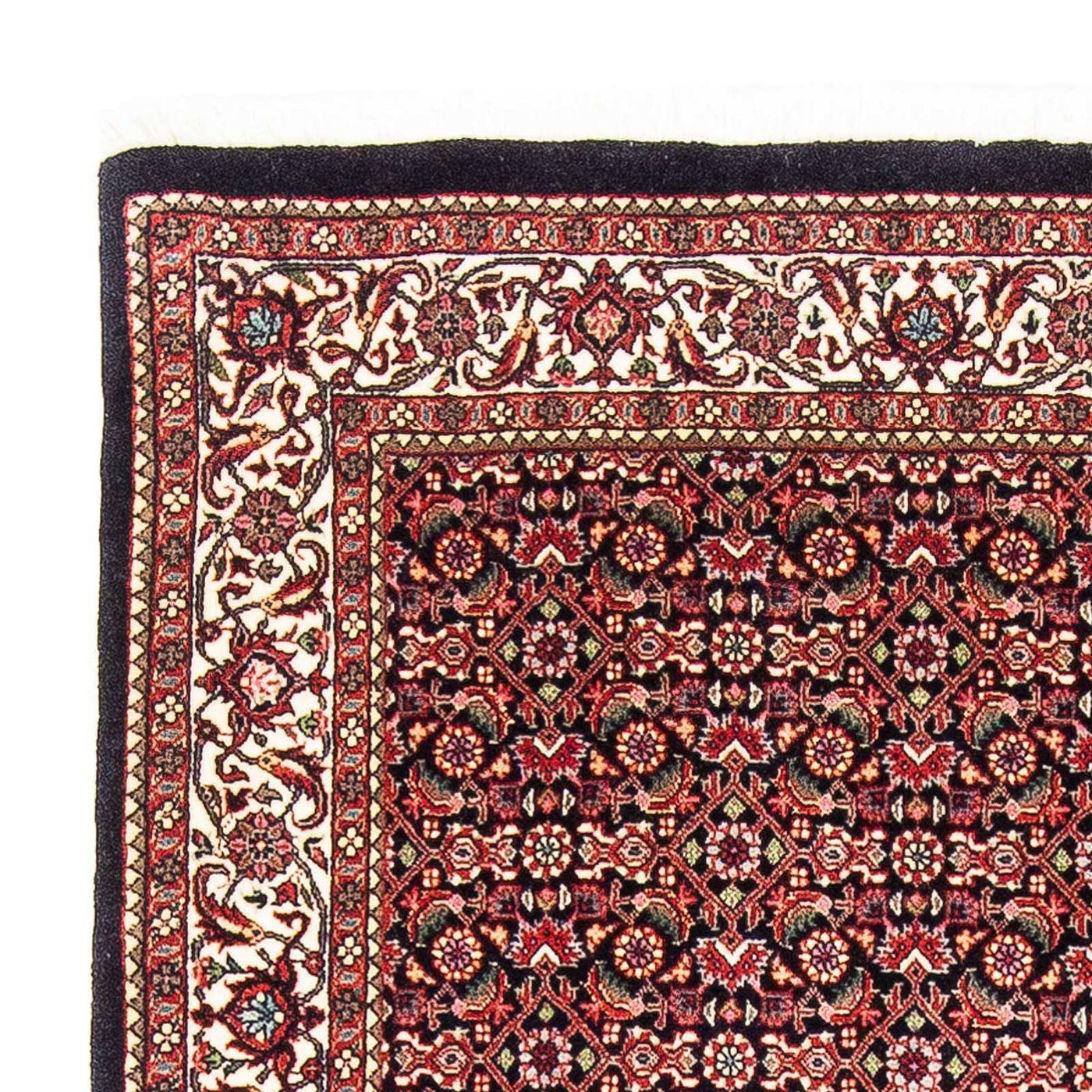 Bidjar Rug 170x108cm - Persian Rugs