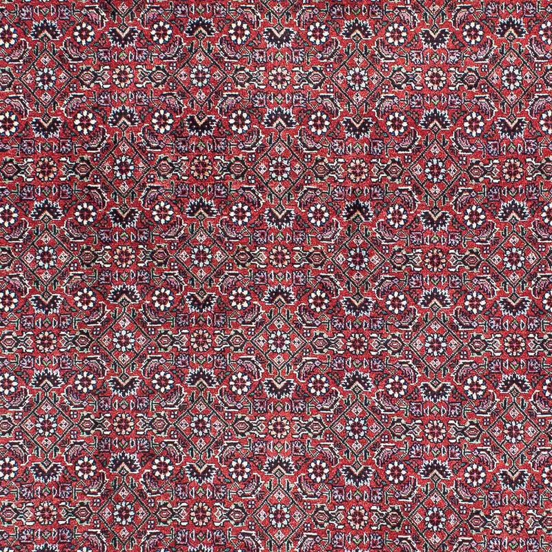 Perser Rug - Bidjar - 216 x 128 cm - light red
