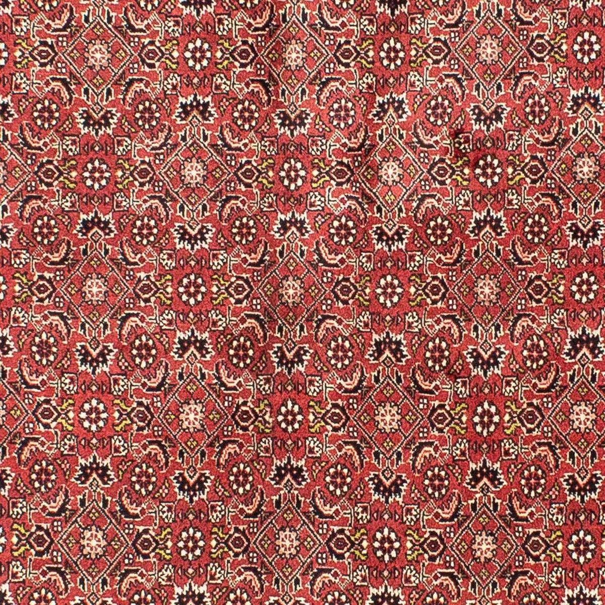 Perser Rug - Bidjar - 205 x 141 cm - dark red