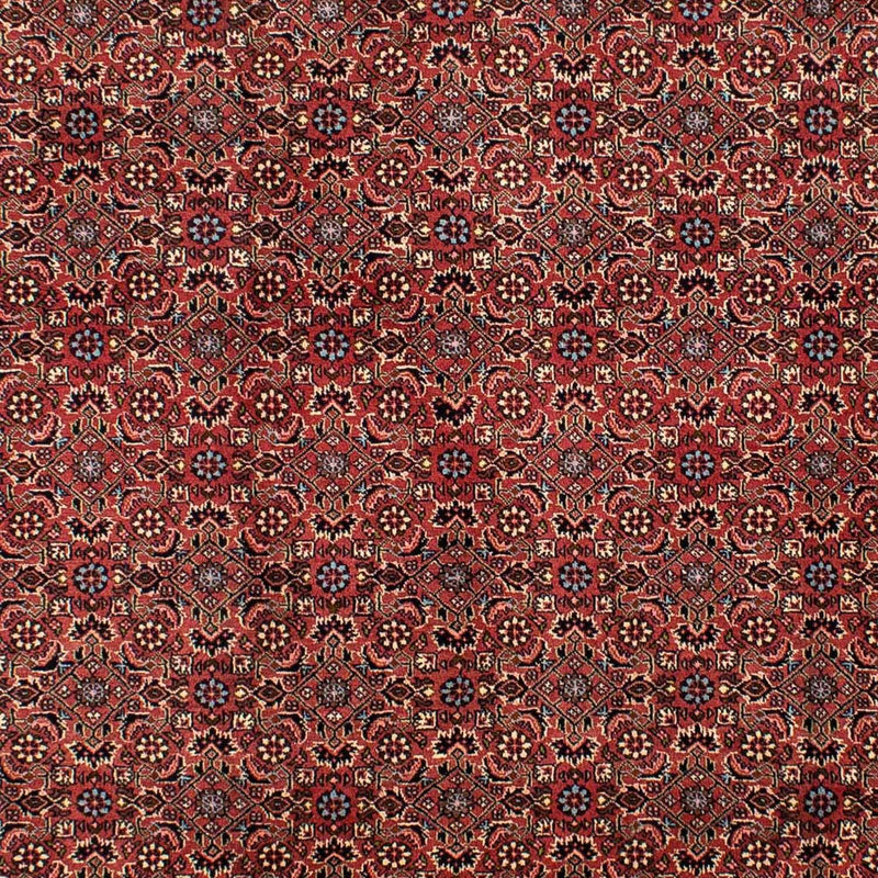 Perser Rug - Bidjar - 300 x 200 cm - dark red