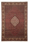 Bidjar Rug 204x295cm - Persian Rugs - Rectangle / Brown / 204 x 295 cm Rectangle