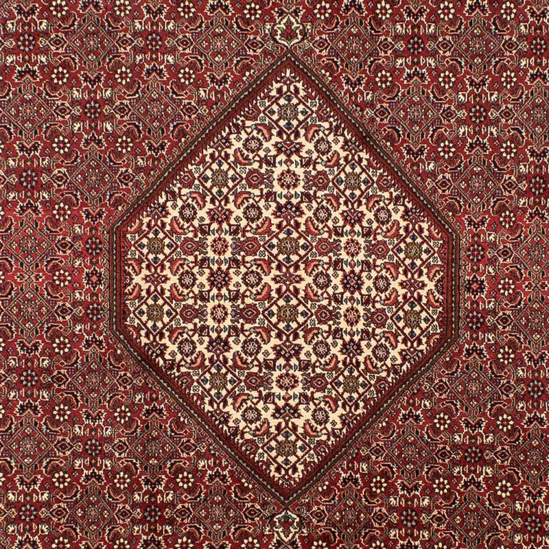 Perser Rug - Bidjar - 295 x 204 cm - brown