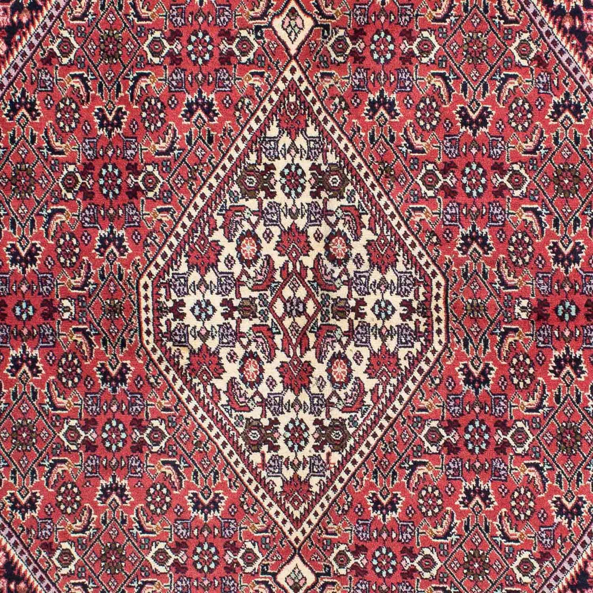 Perser Rug - Bidjar - 230 x 141 cm - red