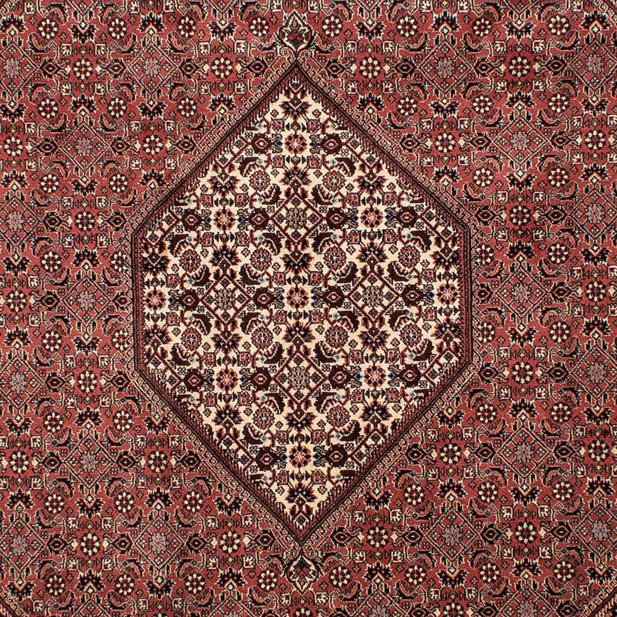 Perser Rug - Bidjar - 308 x 204 cm - brown