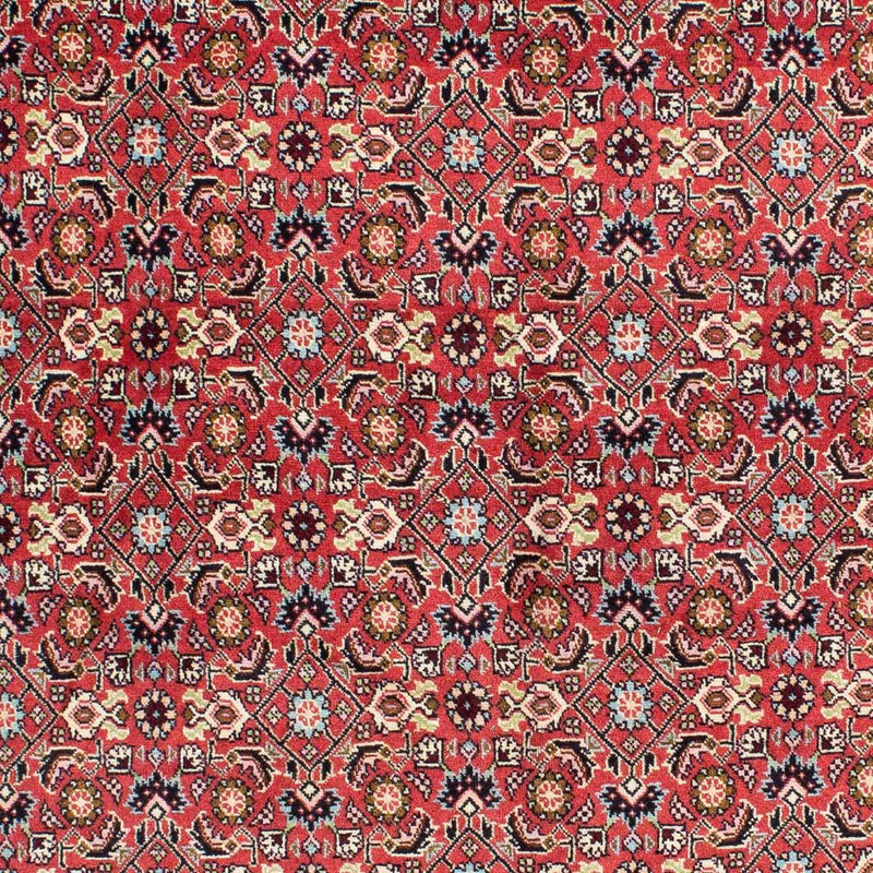 Perser Rug - Bidjar - 233 x 138 cm - red