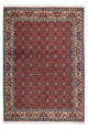 Bidjar - Zanjan Rug 193x137cm - Persian Rugs
