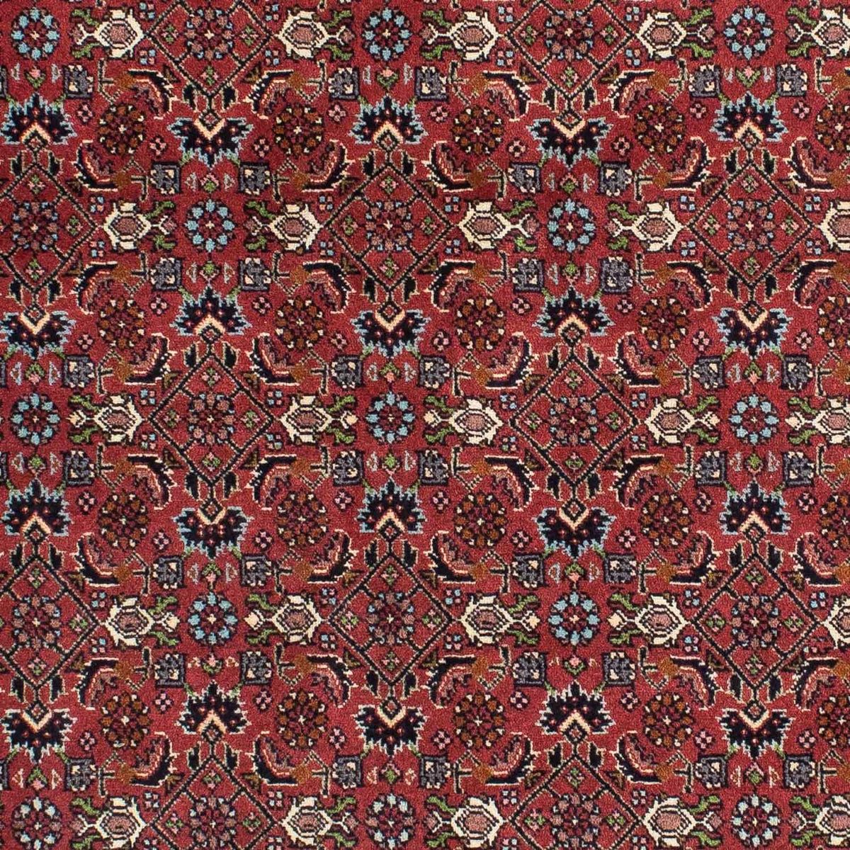 Perser Rug - Bidjar - 193 x 137 cm - red