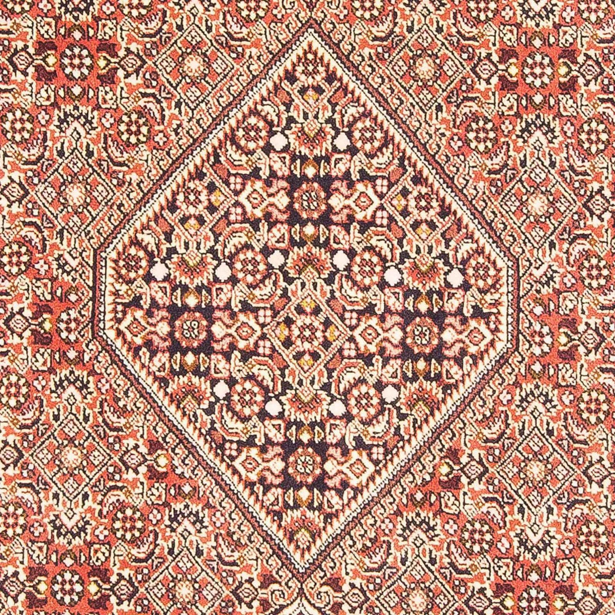 Perser Rug - Bidjar - 176 x 110 cm - light red