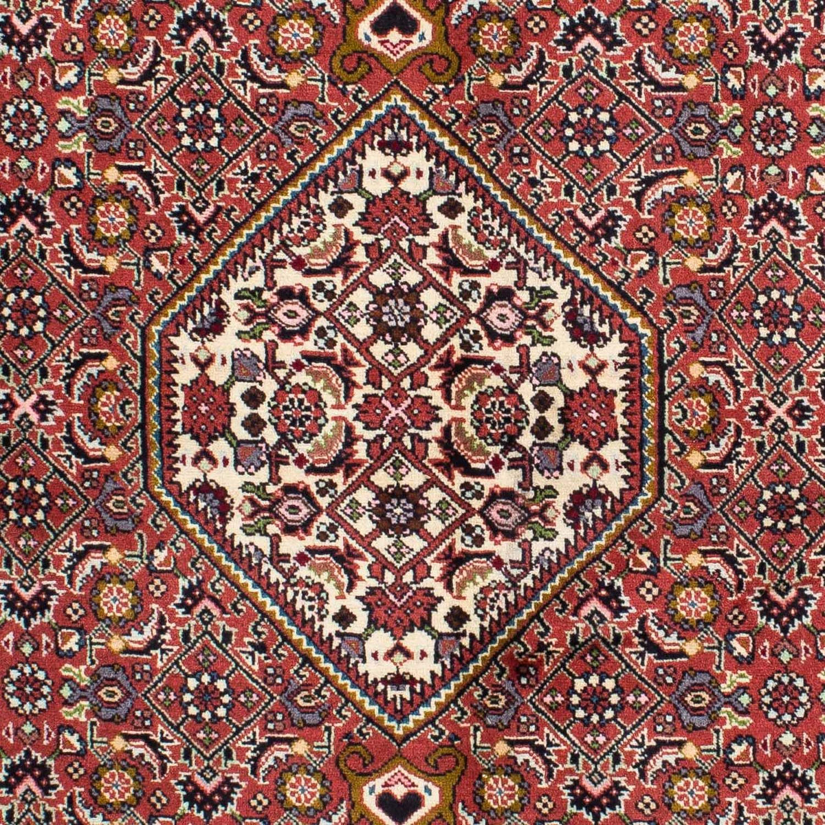 Perser Rug - Bidjar - 220 x 136 cm - red