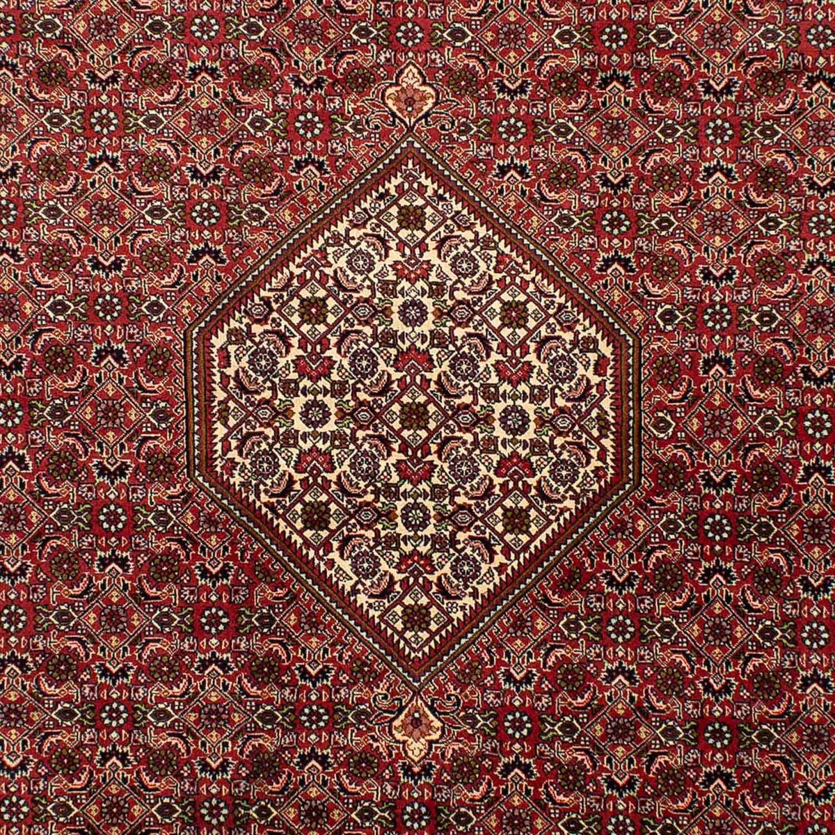 Perser Rug - Bidjar - 302 x 198 cm - light red