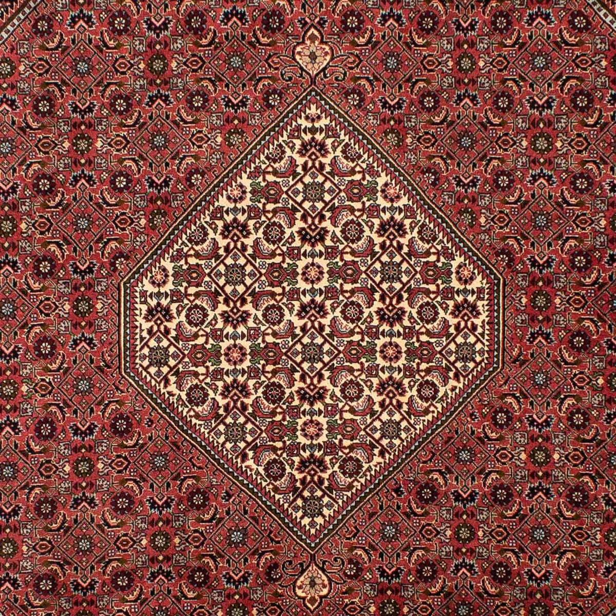 Perser Rug - Bidjar - 308 x 200 cm - light red