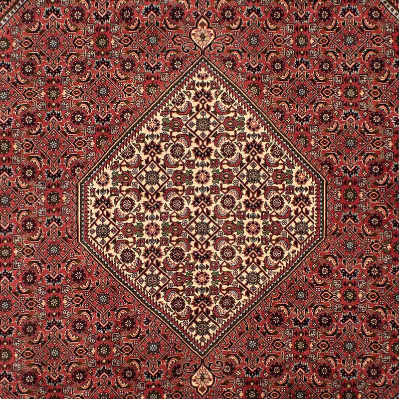 Perser Rug - Bidjar - 308 x 200 cm - light red