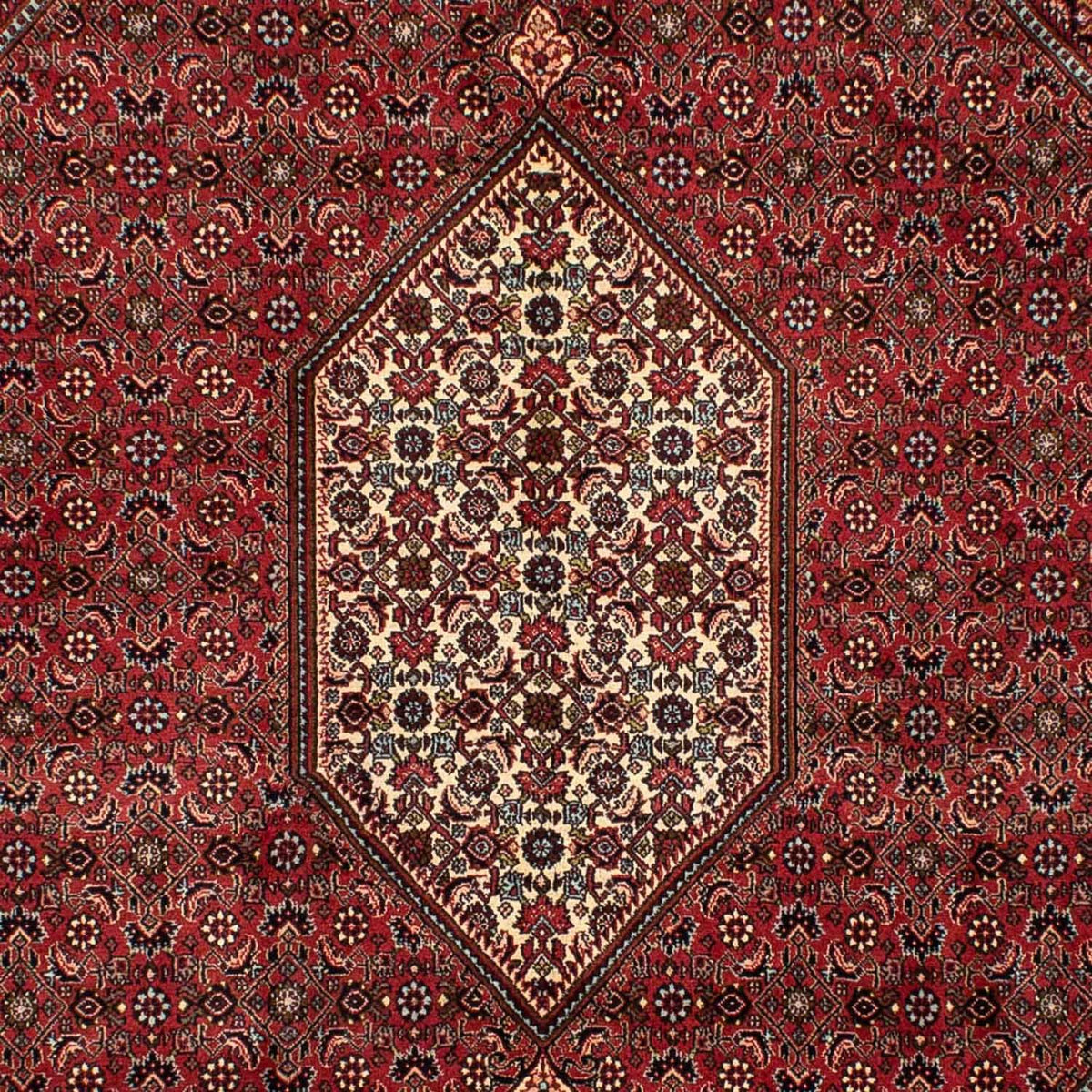 Perser Rug - Bidjar - 282 x 204 cm - dark red