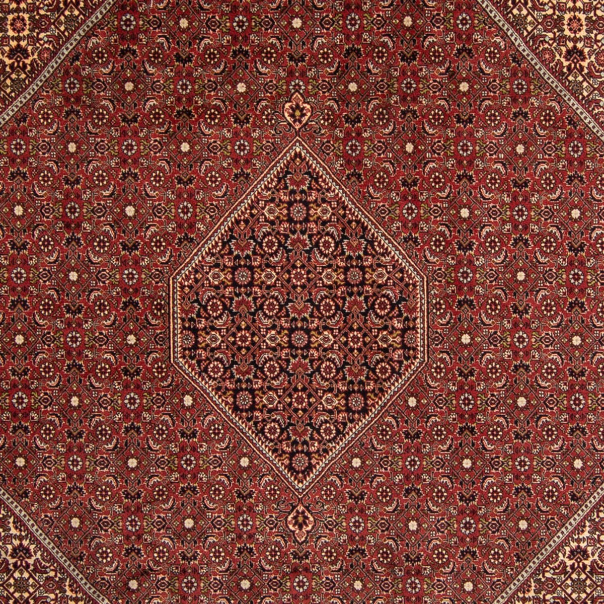 Perser Rug - Bidjar - 345 x 247 cm - brown