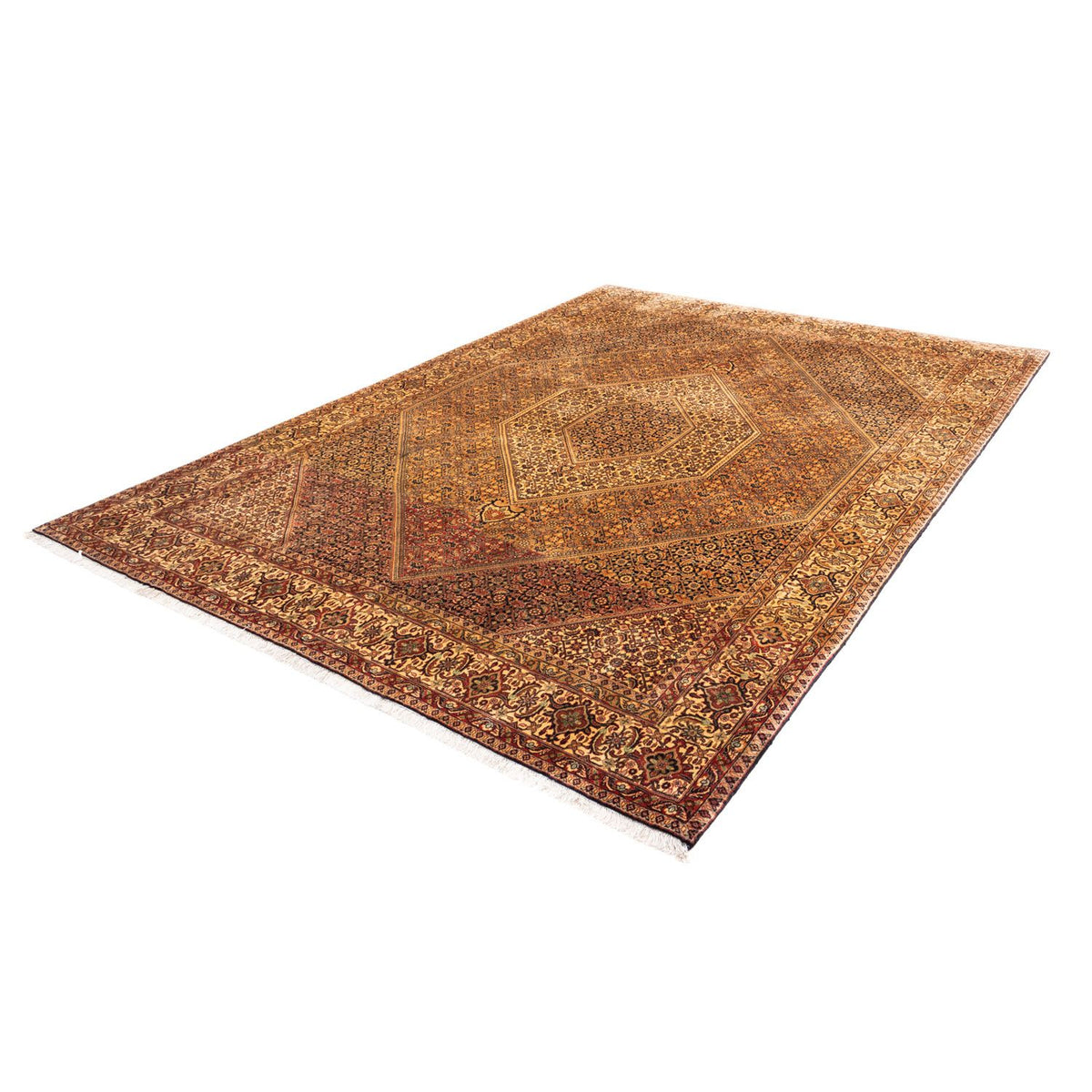 Perser Rug - Bidjar - 297 x 202 cm - multicolored