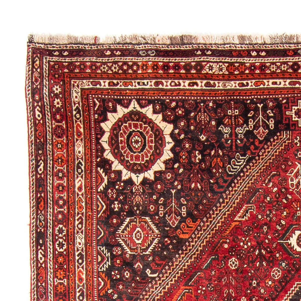 Perser Rug - Nomadic - 328 x 215 cm - dark red