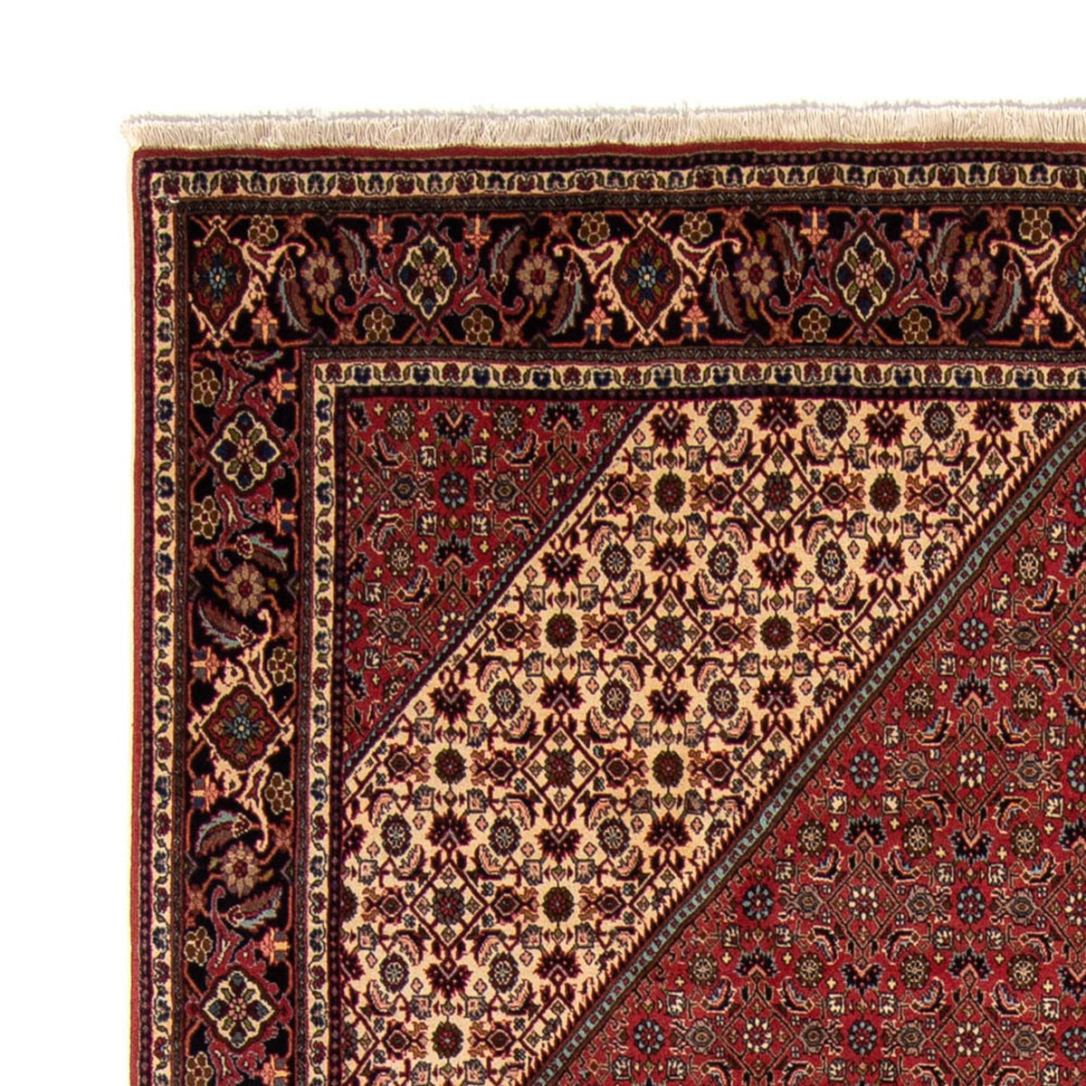 Bidjar Rug 248x343cm - Persian Rugs