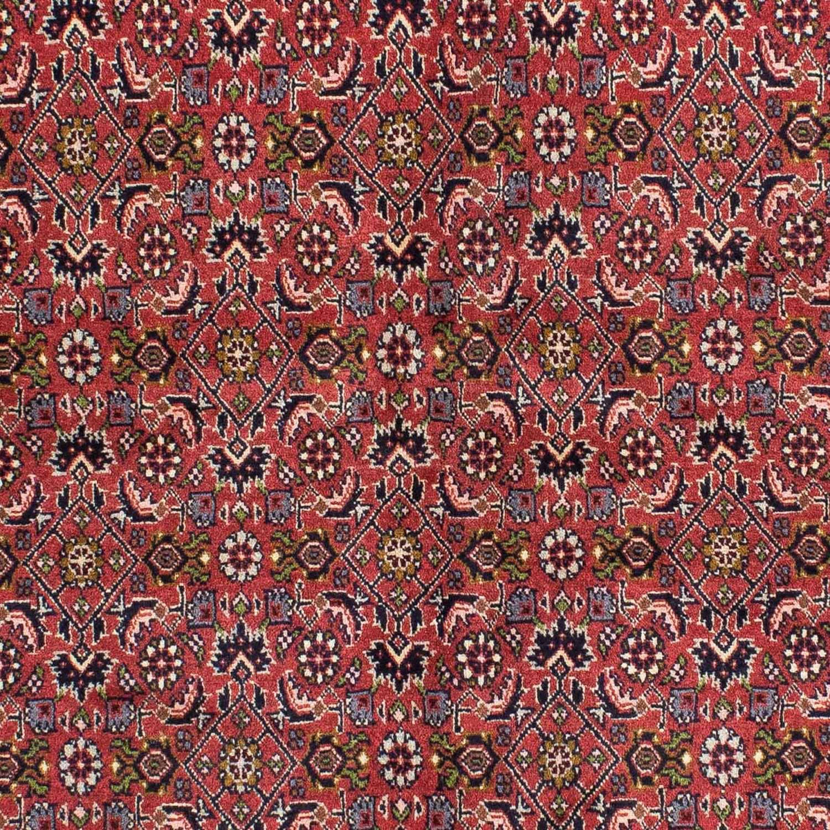 Perser Rug - Bidjar - 207 x 142 cm - red