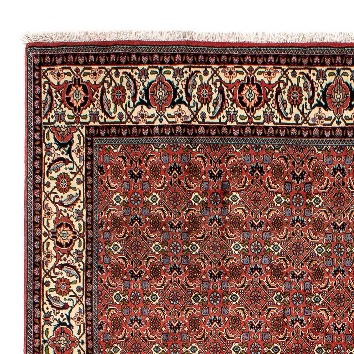 Bidjar Rug 200x290cm - Persian Rugs