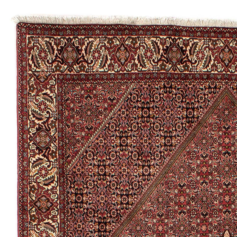 Perser Rug - Bidjar - 305 x 202 cm - brown