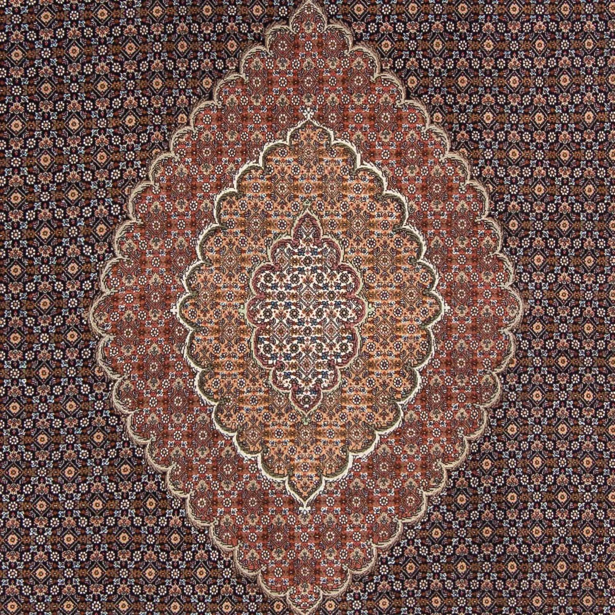 Perser Rug - Tabriz - 294 x 208 cm - dark brown