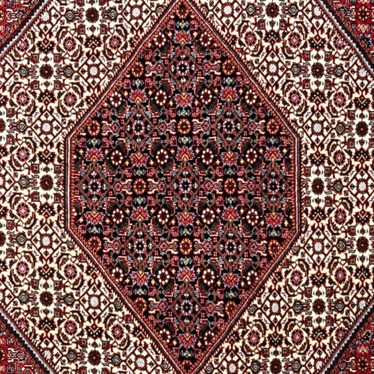 Perser Rug - Bidjar - 338 x 249 cm - red