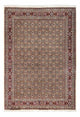 Moud Rug 234x174cm - Persian Rugs