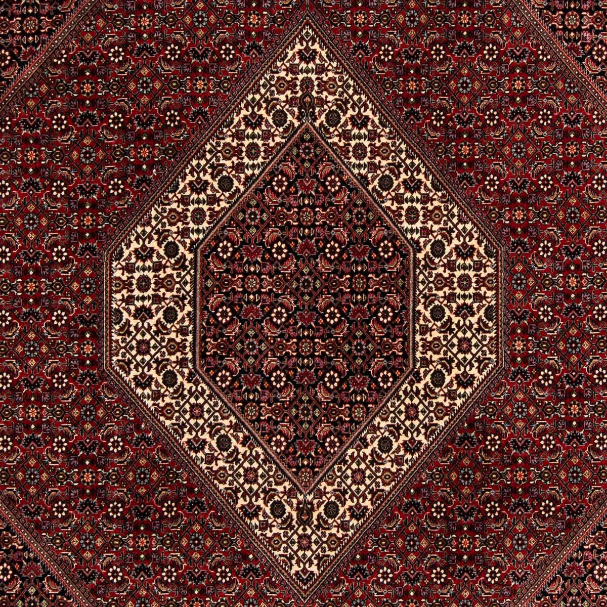 Perser Rug - Bidjar - 263 x 203 cm - dark red