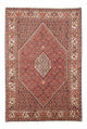 Bidjar Rug 258x174cm - Persian Rugs
