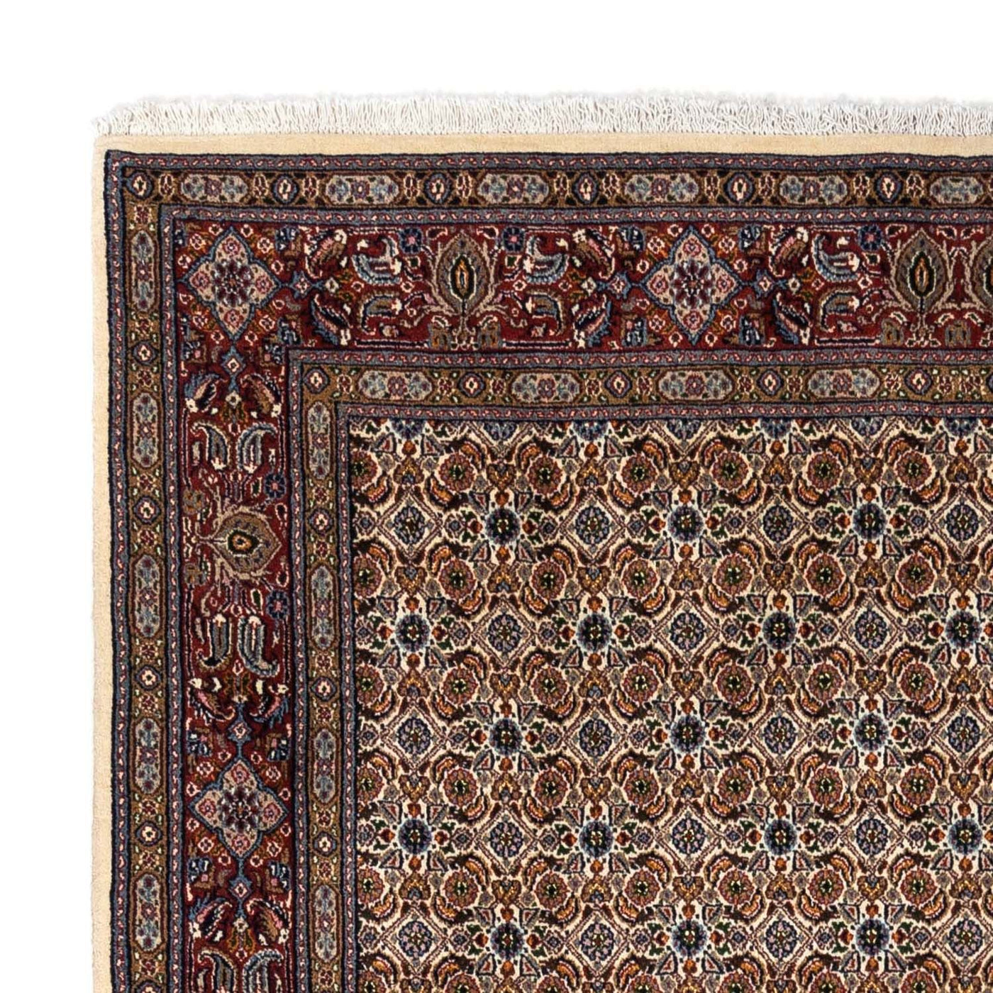 Moud Rug 242x170cm - Persian Rugs