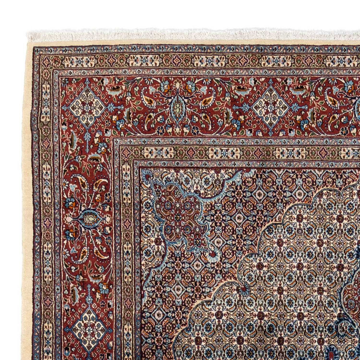 Moud Rug 248x350cm - Persian Rugs