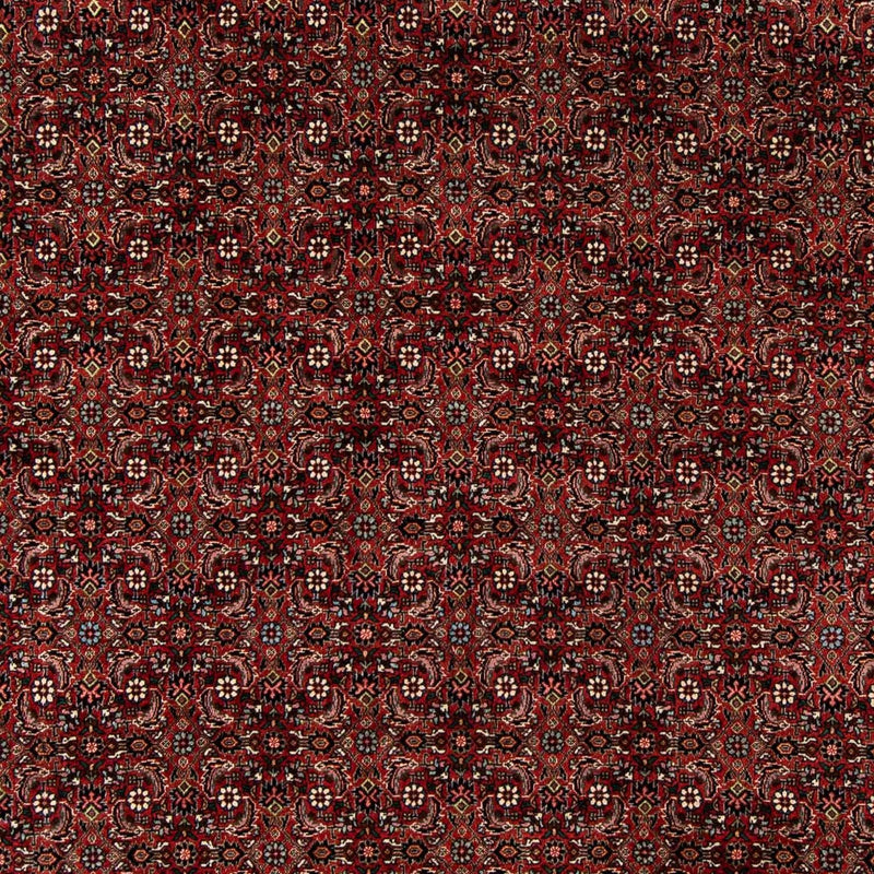 Perser Rug - Bidjar - 242 x 202 cm - dark red