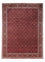 Perser Rug - Bidjar - 337 x 252 cm - red
