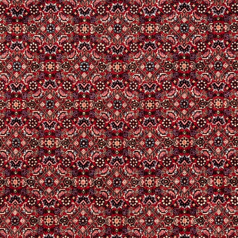 Perser Rug - Bidjar - 337 x 252 cm - red