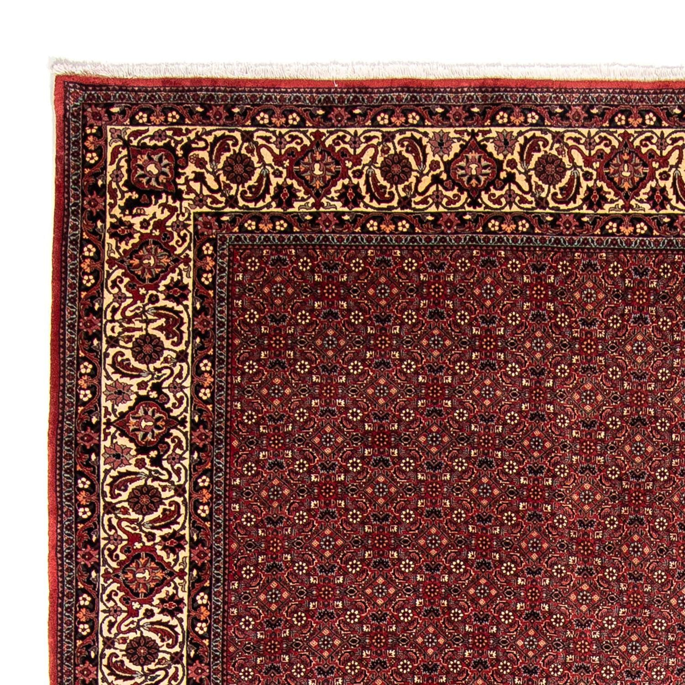 Bidjar Teppich 338x258cm - Perserteppich
