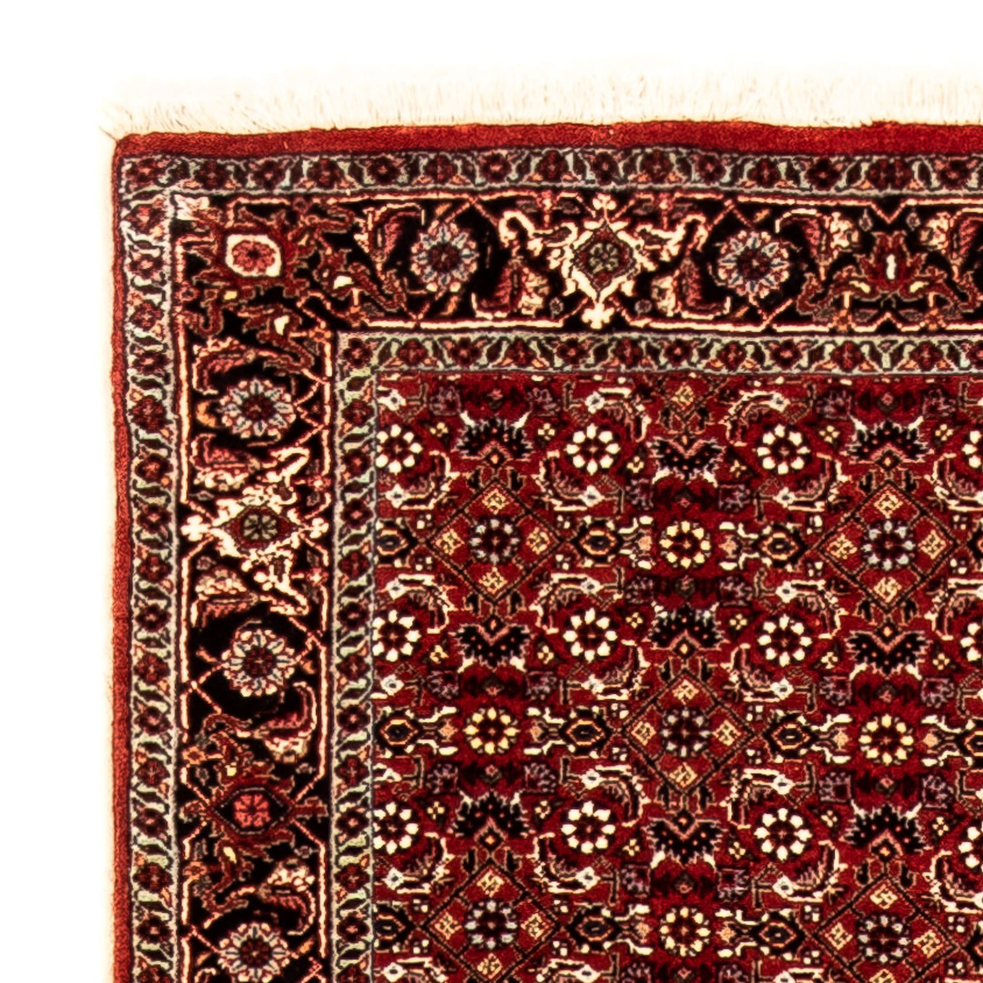 Bidjar Rug 298x80cm - Persian Rugs
