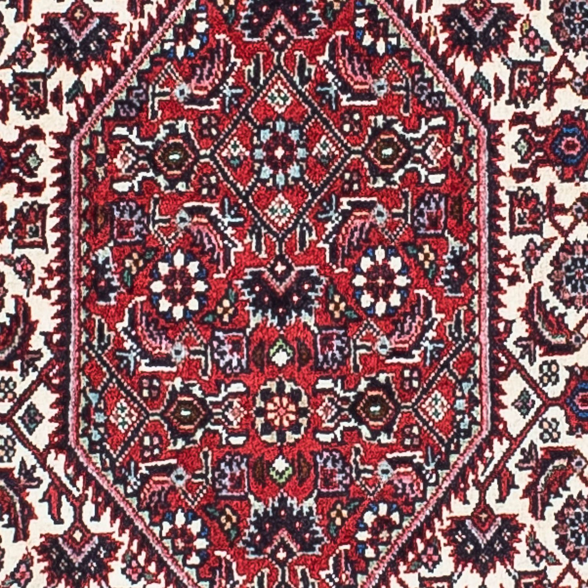 Perser Rug - Bidjar - 204 x 129 cm - light red