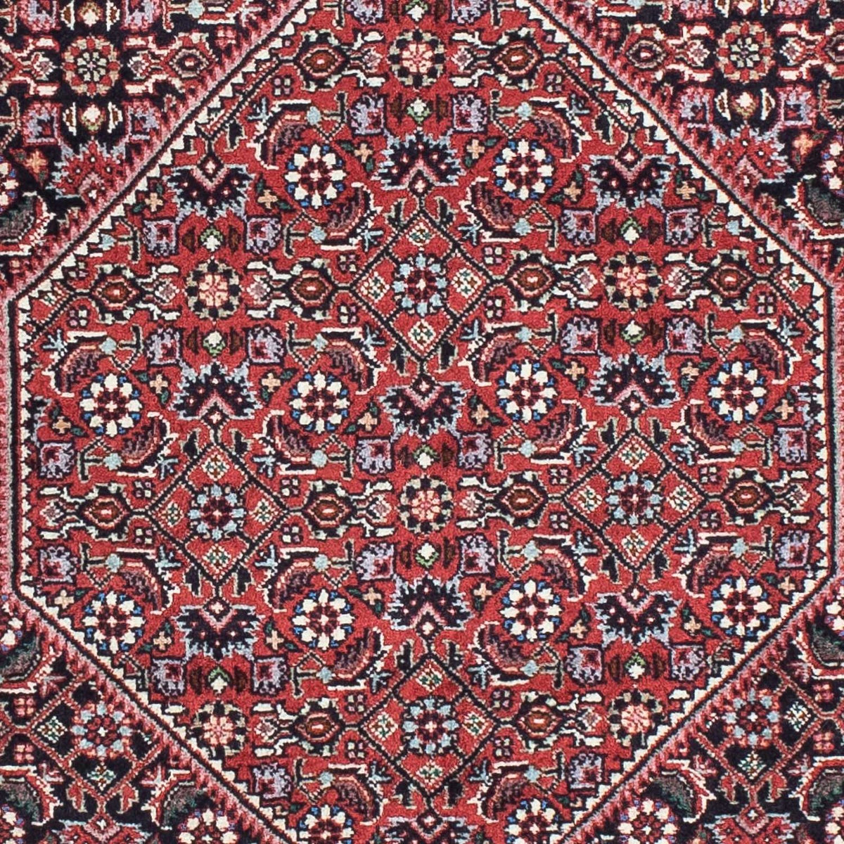 Runner Perser Rug - Bidjar - 197 x 72 cm - red