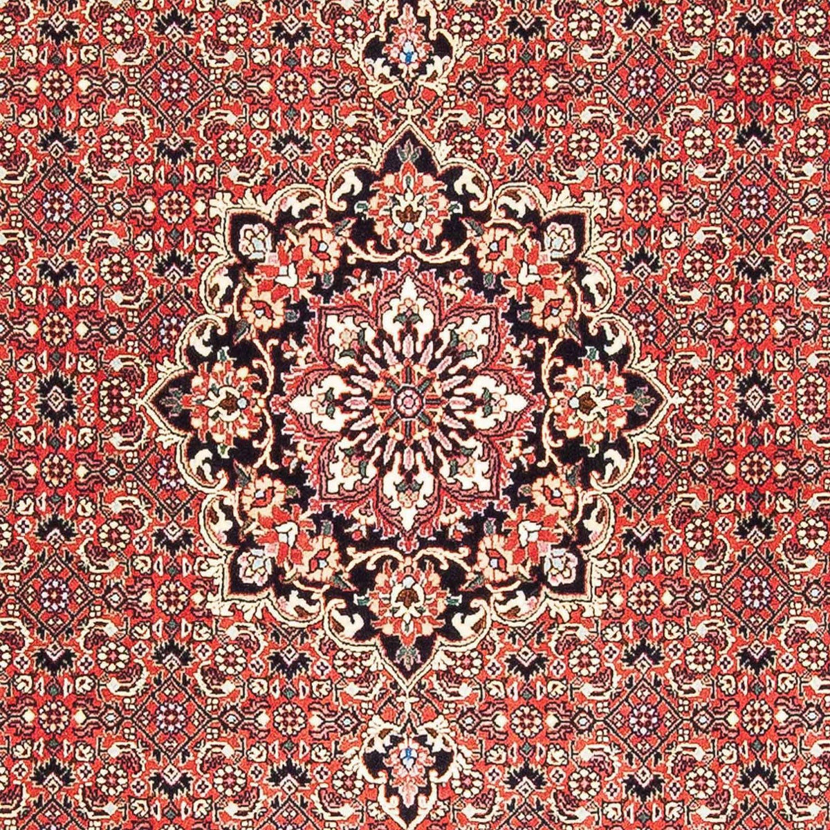 Perser Rug - Bidjar - 182 x 110 cm - red