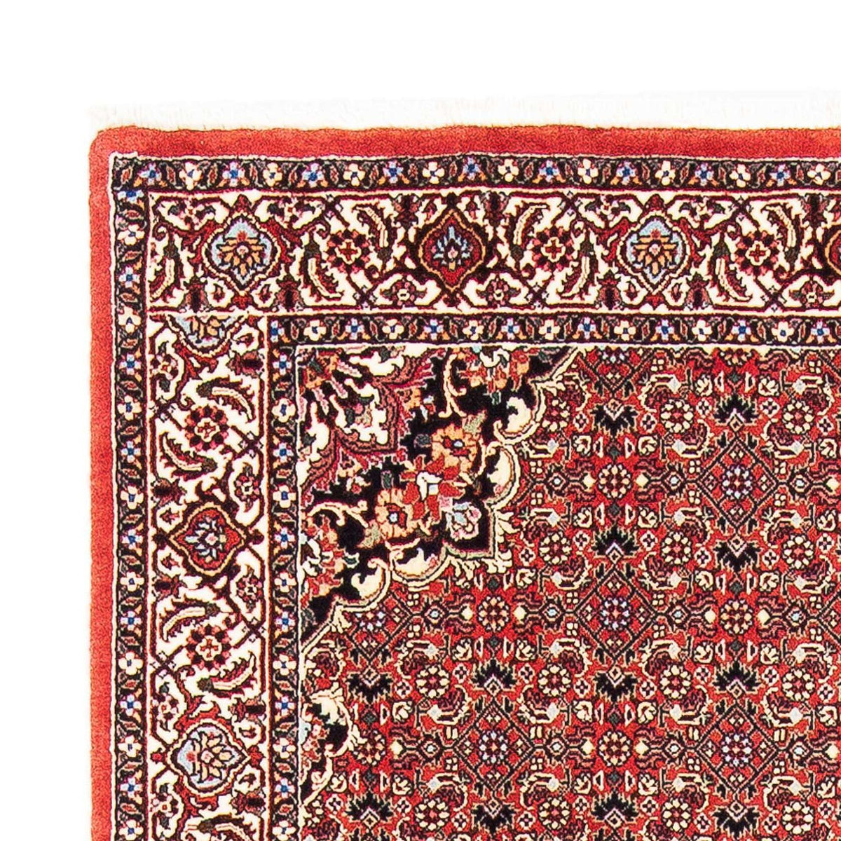 Perser Rug - Bidjar - 182 x 110 cm - red