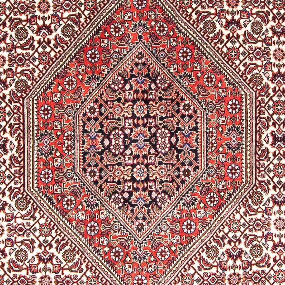 Perser Rug - Bidjar - 173 x 107 cm - light red