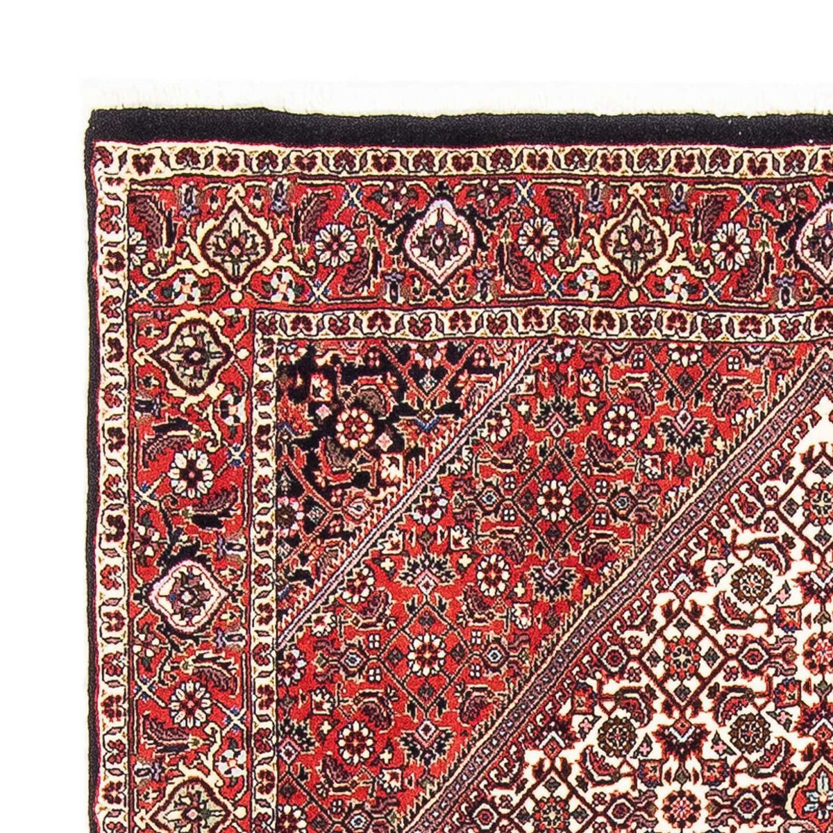 Bidjar Rug 107x173cm - Persian Rugs