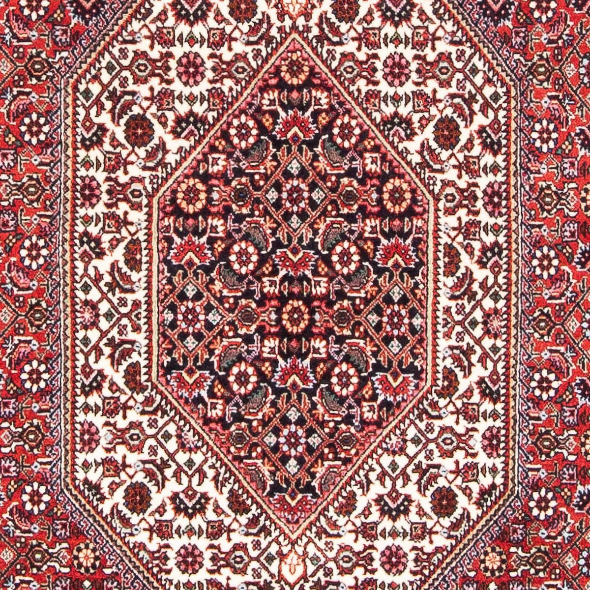 Perser Rug - Bidjar - 189 x 109 cm - red