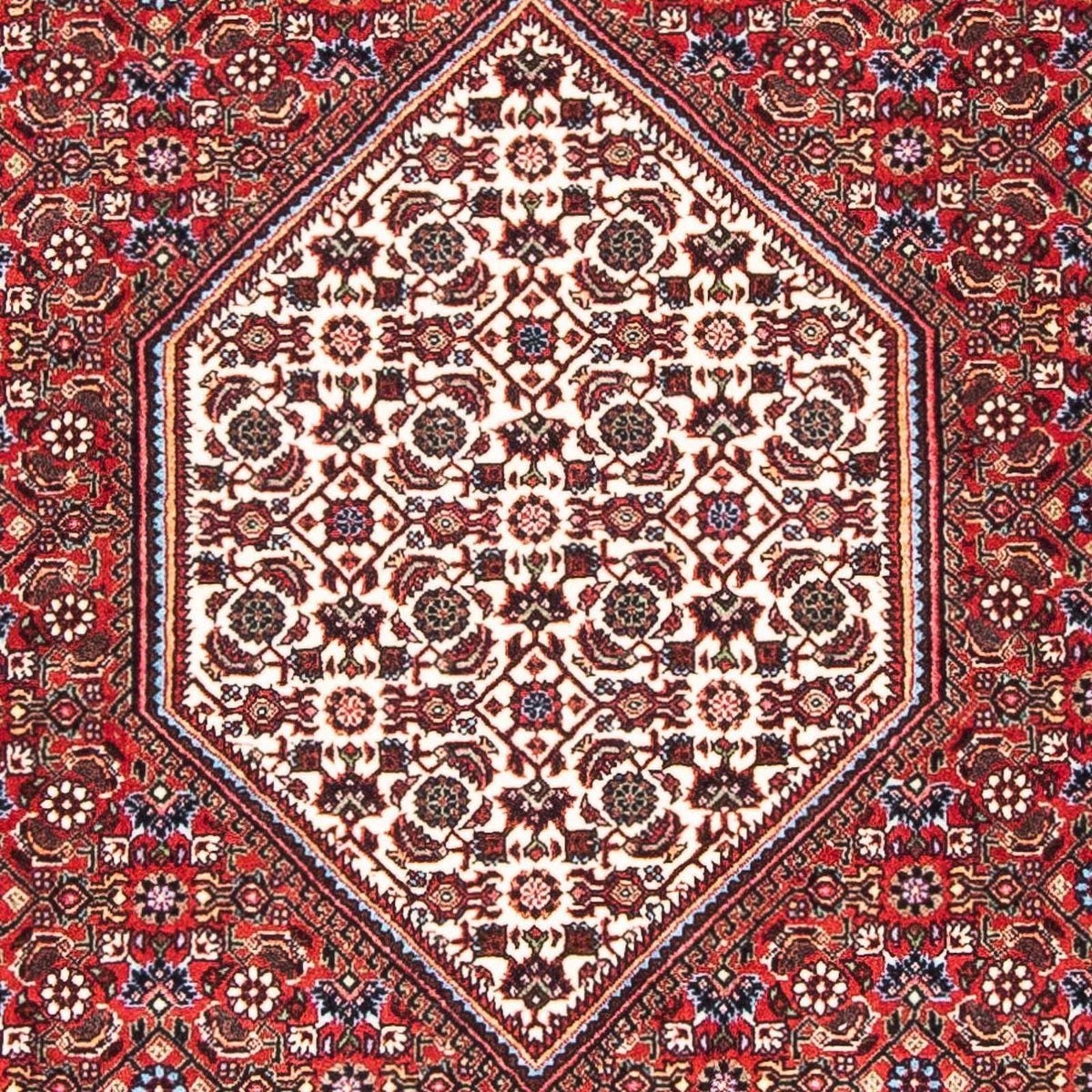 Perser Rug - Bidjar - 169 x 108 cm - red