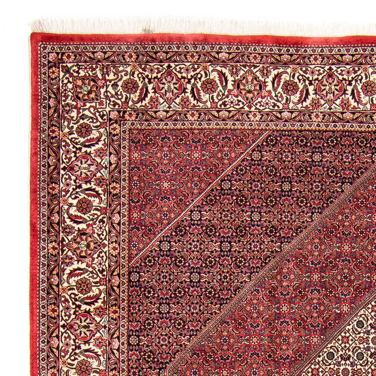 Bidjar Rug 255x304cm - Persian Rugs