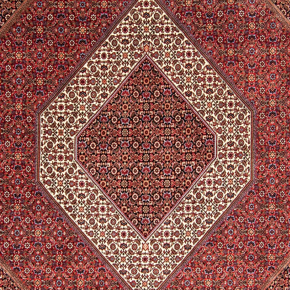 Perser Rug - Bidjar - 345 x 252 cm - red