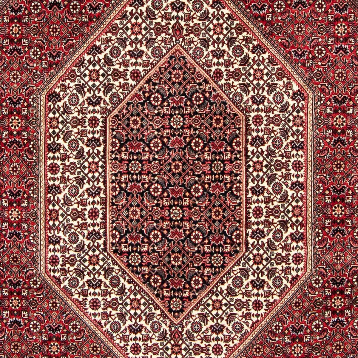 Perser Rug - Bidjar - 250 x 171 cm - dark red