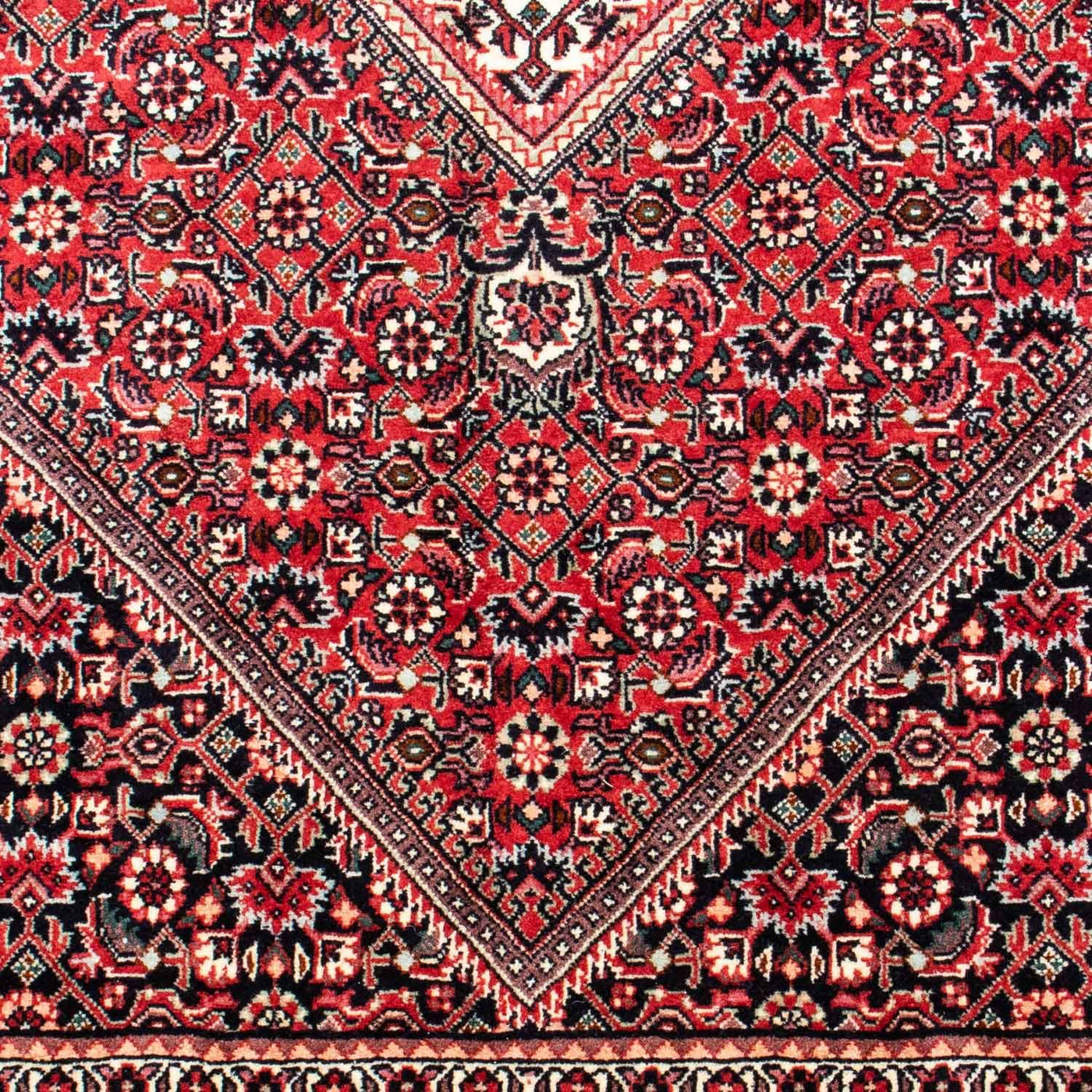 Bidjar Rug 250x171cm - Persian Rugs