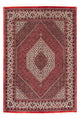 Bidjar Rug 240x168cm - Persian Rugs